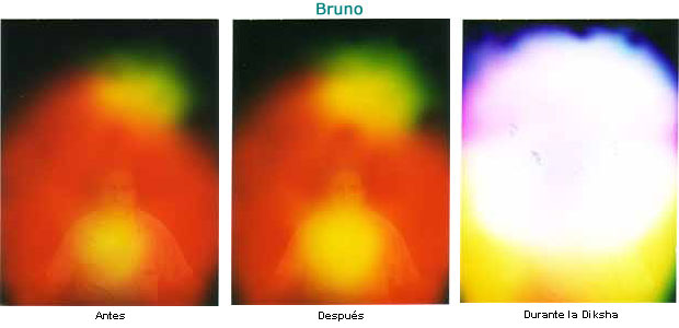 Bruno antes, después y durante.